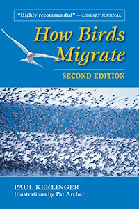 How Birds Migrate (English Edition)