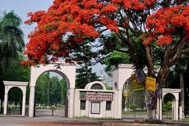 ইসলামি আরবি বিশ্ববিদ্যালয়ে চাকরি, বেতন...