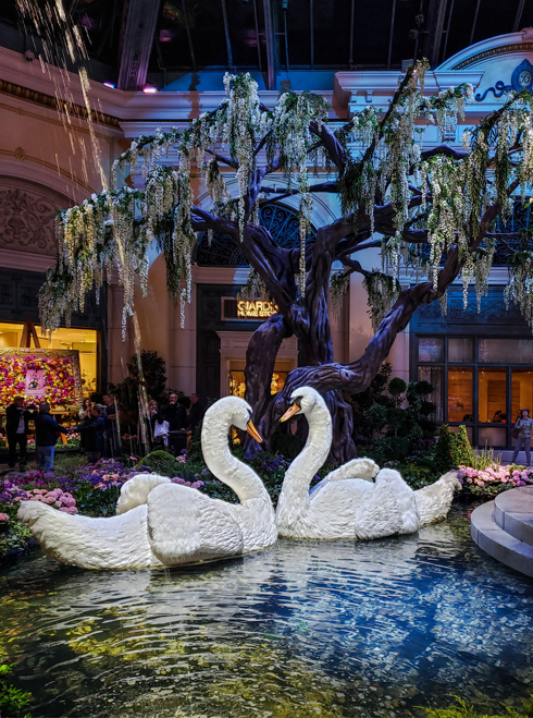 Bellagio Hotel Casino Las Vegas Strip Conservatory