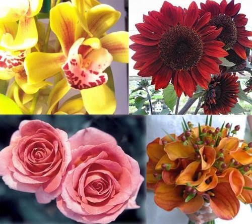 flower types