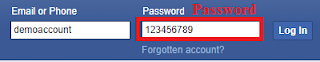 show hidden password chrome