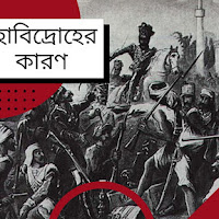 মহাবিদ্রোহের কারণ সম্পর্কে আলোচনা কর।