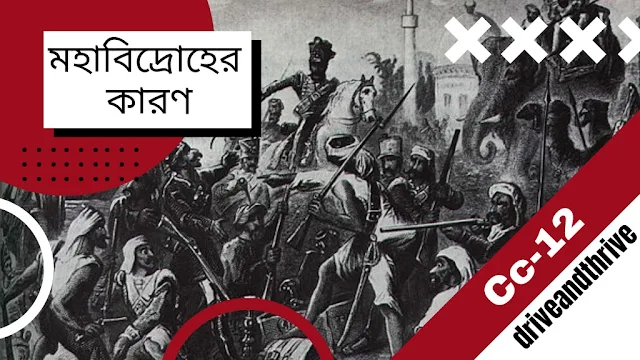 মহাবিদ্রোহের কারণ সম্পর্কে আলোচনা কর।
