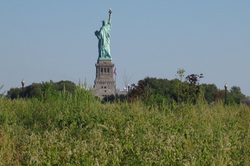 New York, United States of America. Photo of the Statue of Liberty from the alley of Liberty State Park
