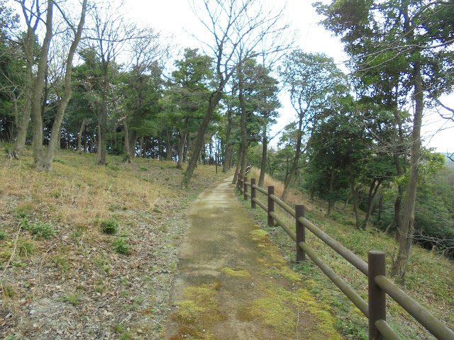 弥生の森の遊歩道