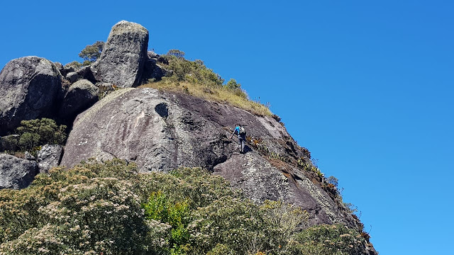 Trilha do Pico do Glória - Parque Nacional da Serra dos Órgãos