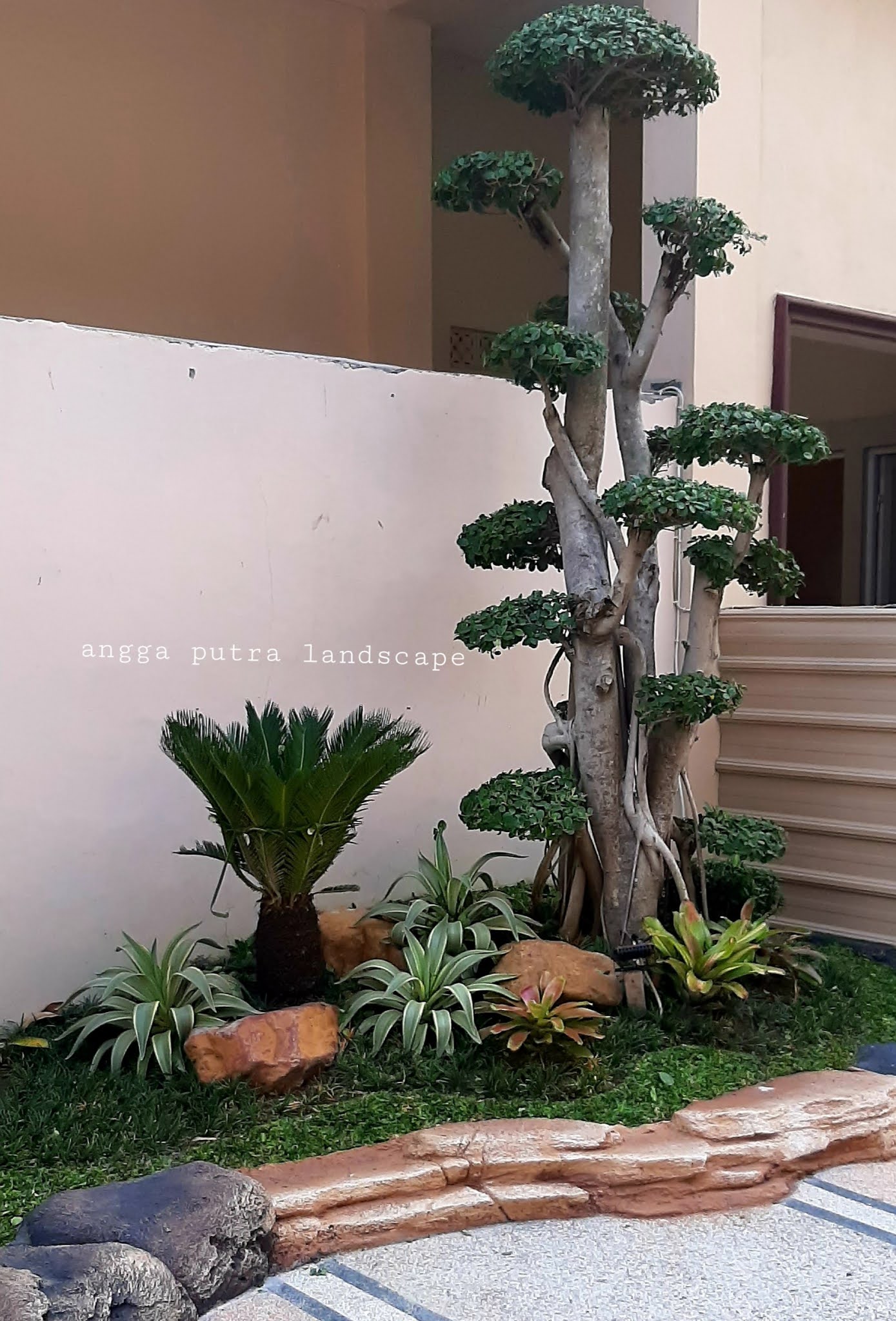 Tukang taman kediri - jasa pembuatan taman kediri