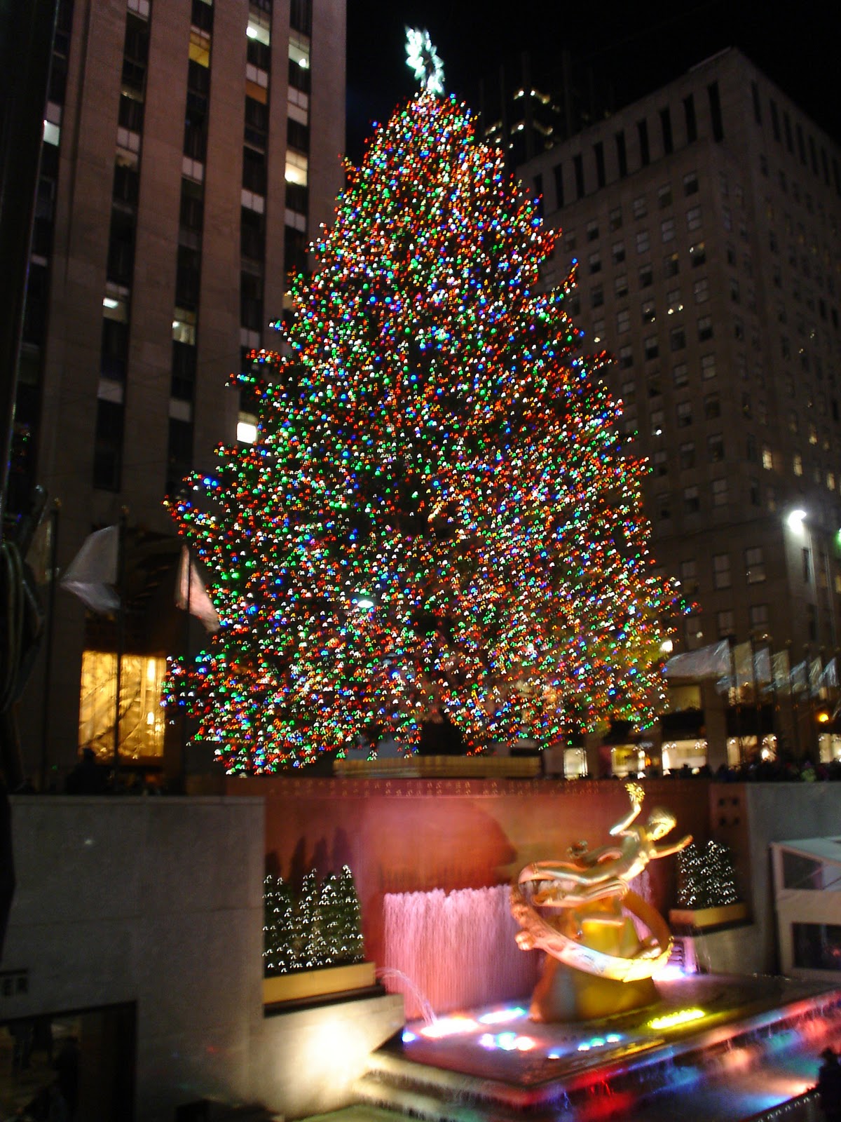 Pay a Visit: 2010 Rockefeller Center Christmas Tree