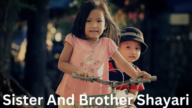 Top 100+ Sister And Brother Shayari