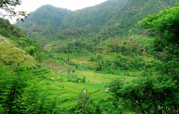 Cultural Landscape of Bali Province