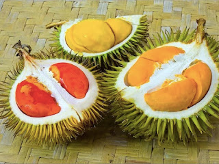 durian dan khasiat bagi tubuh