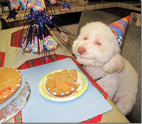 21