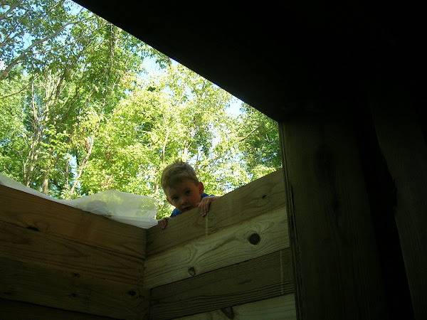 Quinn peeking down the retaining wall
