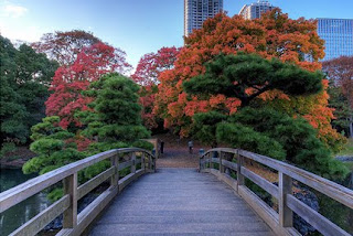 Taman Hijau Di Tengah Bandar Raya Tokyo