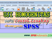 Cara Melakukan Uji Homogenitas dengan SPSS beserta Contoh Lengkap