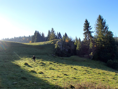 Schronisko pod Durbaszką, wąwóz Homole, jesień w Pieninach, grzyby na góeskich łąkach, grzyby chronione, wilgotnice