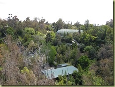 IMG_8640