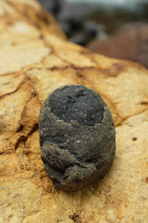 closeup of an oval shape dark rock on top of a golden rock