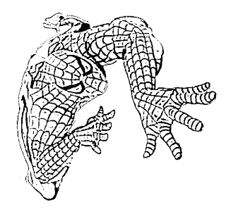 spiderman coloring pages for kids