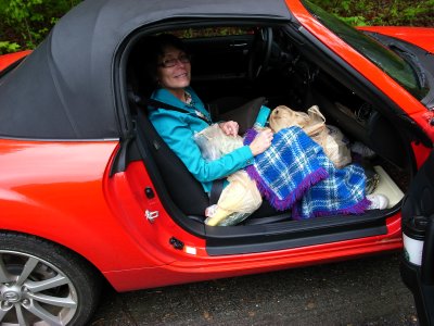 Yep, just arrived at the cabin loaded with food...