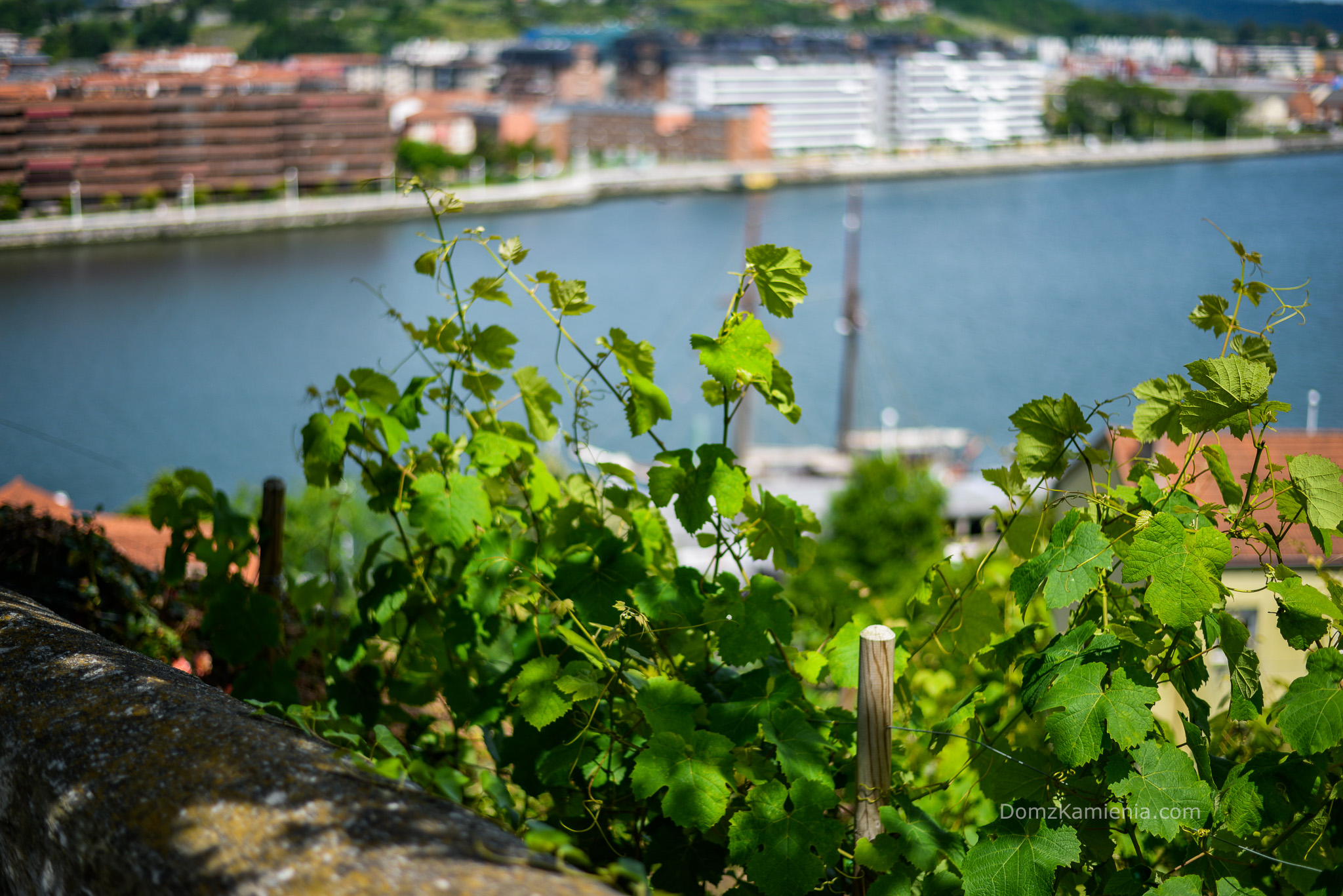 Kraj Basków wybrzeże, Portugalete, Mundaka, Dom z Kamienia blog