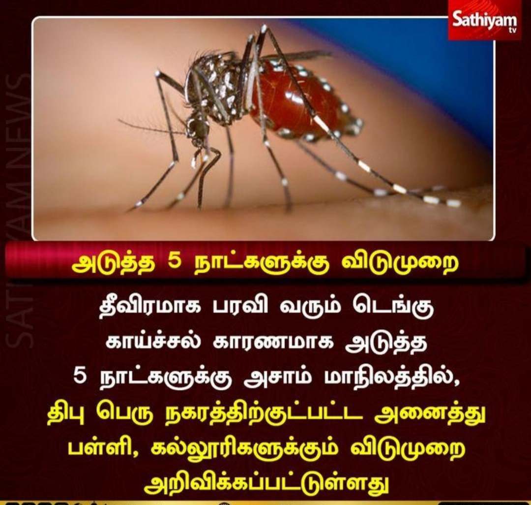 அடுத்த ஐந்து நாட்களுக்கு பள்ளி மற்றும் கல்லூரிகளுக்கு விடுமுறை