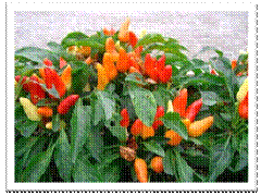 clip_image011