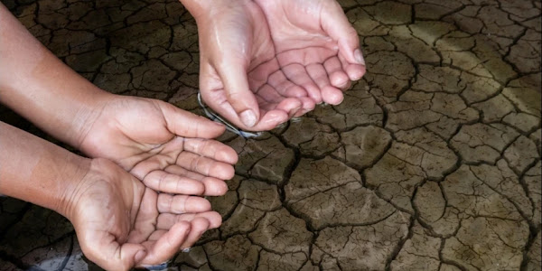 Causes of Drought and Its Impact on Life