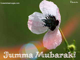 jumma mubarak sms