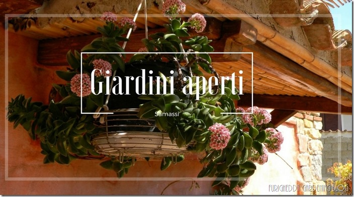 stephanie hearn photography (5)