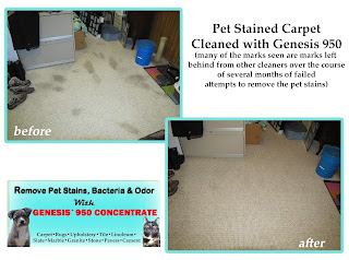 DIY Carpet Cleaner