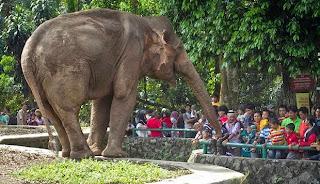 Tempat wisata terpopuler di Jakarta untuk dikunjungi