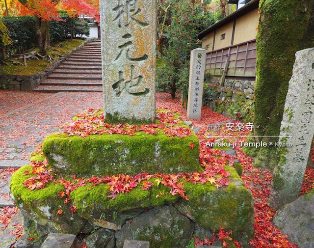 [京都] 安楽寺の紅葉
