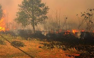 Incendi in Sardegna - www.unionesarda.it