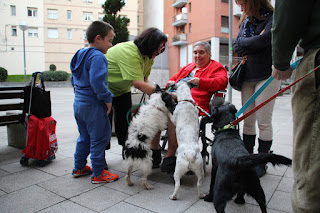 Ancianos de una residencia viven una jornada en contacto de perros abandonados