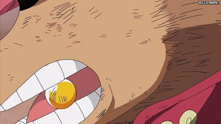 ワンピース アニメ エニエスロビー編 290話 チョッパー ランブルボール Tony Tony Chopper | ONE PIECE Episode 290 Enies Lobby