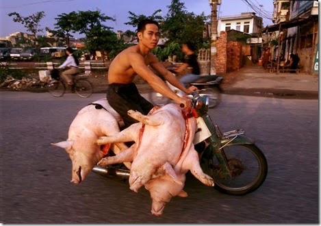 Motor Motor Serba Bisa 09