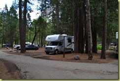 North Pines Pitch-2