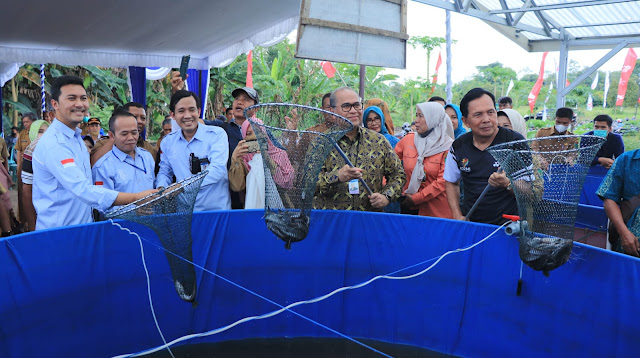 Walikota dan Gubernur BI Panen Ikan Lele Perdana