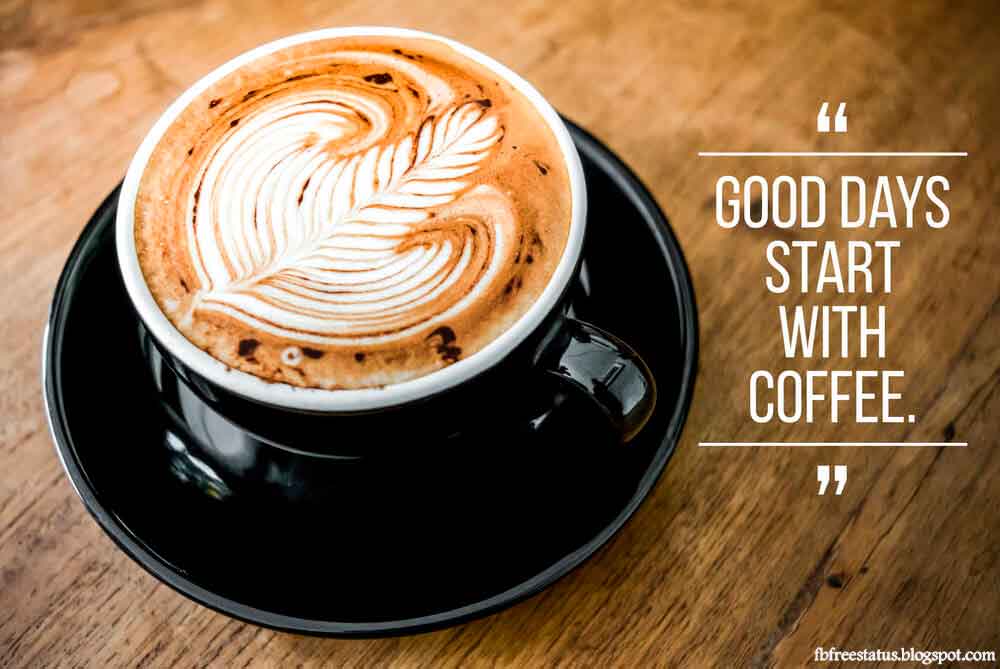 30 Coffee Quotes That Will Brighten Your Mood