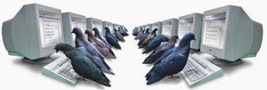 Google Pigeon