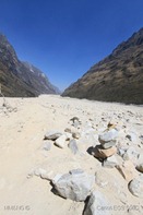 IMG_5226