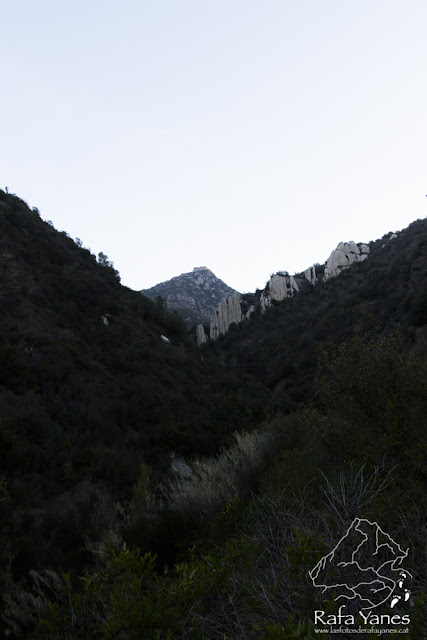 Ruta: Puig Cendrós  (499 m) y Sant Salvador de les Espases (413 m) (Els 100 Cims)