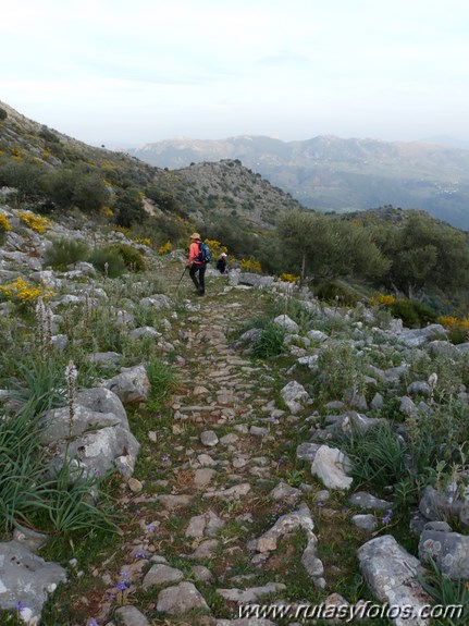 Montejaque - Ventana - Tunio - Palo - Martin Gil - Arenitas - Cortes de la Frontera