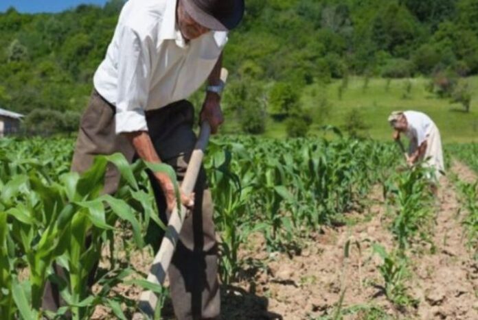 Crecimiento agrícola en el 2023 dependerá de medidas coyunturales y estructurales