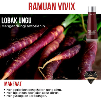 4 Ramuan Premium Vivix