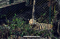 Sundarban National Park