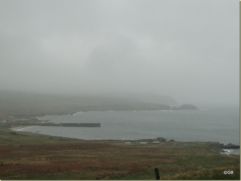 DSC08519