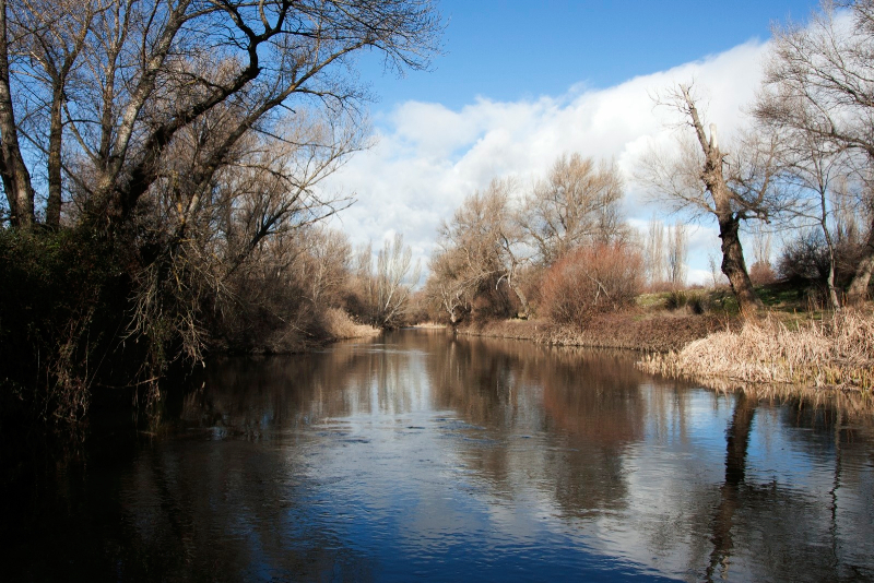 La contraportada del post es el río Jarama de 'El Jarama' de Rafael Sánchez Ferlosio