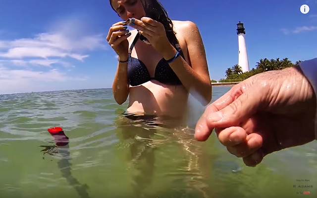 Beach Hunters Metal Detecting